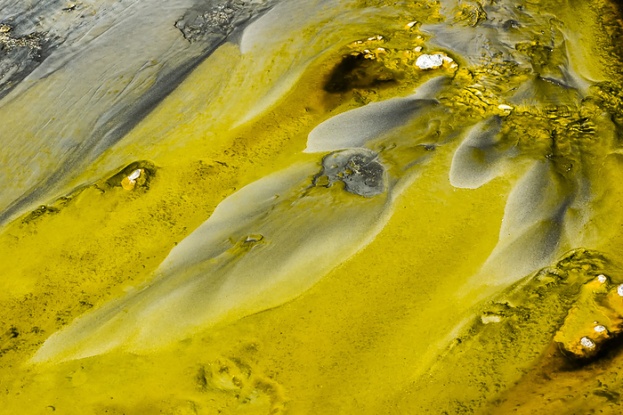 An abstract pattern of muddy, bright yellow mineral deposits from thermal run off in Yellowstone National Park; Wyoming, United States of America, Photo by Tom Murphy / Design Pics