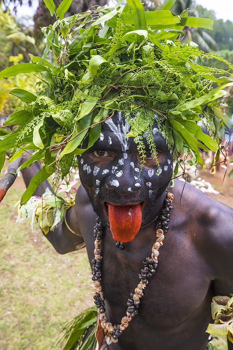 Papua New Guinea Men Village man preparing to perform traditional sing sing Melanesian tribal dance as a warrior in Natade Village in the Tufi Fjords of Cape Nelson in the Oro Province of Papua New Guinea  Tufi, Oro Province, Papua New Guinea, Photo by Chris Caldicott   Design Pics