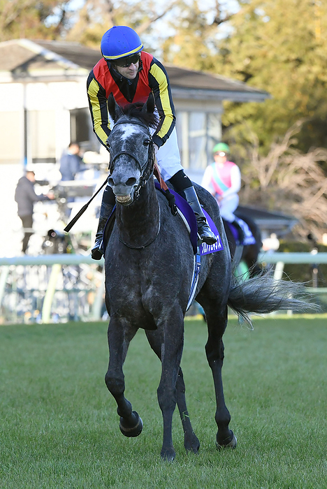 2021 Arima Kinen  G1  Chronogenesis Retirement Race December 26th, Nakayama Racecourse 11R   The 66th Arima Kinen  G1   Chronogenesis  ridden by Christophe Lemaire  retires from this race, but is unable to finish in the top three.