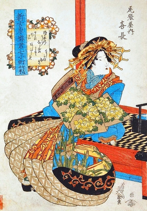 Japan: An oiran or courtesan   prostitute painted by Kikugawa Eizan  1787 1867  The oiran were considered a type of y jo  prostitute   woman of pleasure  or prostitute. However, they were distinguished from the y jo in that they were entertainers, and many became celebrities of their times outside the pleasure districts. Their art and fashions often set trends among the wealthy and, because of this, cultural aspects of oiran traditions continue to be preserved to this day. br   br  They were distinguished from the y jo  woman of pleasure  or prostitute.  The oiran arose in the Edo period  1600 1868 . At this time, laws were passed restricting brothels to walled districts set some distance from the city center. In the major cities these were the Shimabara in Kyoto, the Shinmachi in Osaka, and the Yoshiwara in Edo  present day Tokyo .  br   br   br  These are the major cities.  These rapidly grew into large, self contained  pleasure quarters  offering all manner of entertainments. Within, a courtesan s birth held no distinction, which was fortunate considering many of the courtesans originated as the daughters of impoverished families who were sold into this lifestyle as indentured servants.   Among the oiran, the tay   tayu  was considered the highest rank of courtesan and were considered suitable for the daimyo or feudal lords. In the mid 1700s courtesan rankings began to disappear and courtesans of all classes were collectively known simply as  oiran .  br   br    The word oiran comes from the Japanese phrase oira no tokoro no n san            which translates as  my elder sister . When written in Japanese, it consists of two kanji, flower meaning  flower , and kai meaning  leader  or  first , hence  Leading Flower  or  First Flower .