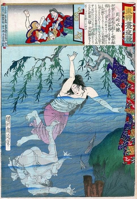 Japan: Oai No Kata swimming at Okazaki. Ukiyo e woodblock print by  Toyohara  Yoshu Chikanobu  1838 1912   Oai No kata was born in Okazaki and was both beautiful and strong, although of low social status. One day while swimming in a river, a young man tried to bother her, but she quickly defeated him. According to the cartouche, even the shogun Tokugawa Ieyasu praised her courage. br   br   br  They were both beautiful and strong, although of low social status.  Toyohara Chikanobu  1838 1912 , better known to his contemporaries as Y sh  Chikanobu, was a prolific woodblock artist of Japan s Meiji period. His works capture the transition from the age of the samurai to Meiji modernity. br   br   br  The work of Toyohara Chikanobu  1838 1912 , better known to his contemporaries as Y sh  Chikanobu, was a prolific woodblock artist of Japan s Meiji period.  In 1875  Meiji 8 , he decided to try to make a living as an artist. He travelled to Tokyo. He found work as an artist for the Kaishin Shimbun. In his younger days, he had studied the Kan  school of painting  but his interest was drawn to ukiyo e. br   br  In 1875  Meiji 8 , he decided to try to make a living as an artist.  Like many ukiyo e artists, Chikanobu turned his attention towards a great variety of subjects. As well as a number of the other artists of this period, he too portrayed kabuki actors in character, and is well known for his impression. As well as a number of the other artists of this period, he too portrayed kabuki actors in character, and is well known for his impressions of the mie  formal pose  of kabuki productions. br   br   br  These are the first two works of the series.  Chikanobu was known as a master of bijinga, images of beautiful women, and for illustrating changes in women s fashion, including both traditional and Western clothing. For example, in Chikanobu s images in Mirror of Ages  1897 , the hair styles of the Tenmei era For example, in Chikanobu s images in Mirror of Ages  1897 , the hair styles of the Tenmei era, 1781 1789 are distinguished from those of the Keio era, 1865 1867.
