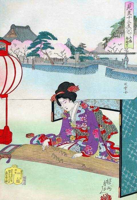 Japan: A woman playing the koto at Shinobazu Pond, Ueno. Ukiyo e woodblock print by  Toyohara  Yoshu Chikanobu  1838 1912   A woman leans lightly forward to play a koto. While she appears to be inside, backed by a folding screen and seated near a paper lantern that glows softly, the inset shows blossoming cherry trees around Shinobazu Pond at Ueno, with its shrine to the Buddhist deity Benzaiten. inset shows blossoming cherry trees around Shinobazu Pond at Ueno, with its shrine to the Buddhist deity Benzaiten.  Toyohara Chikanobu  1838 1912 , better known to his contemporaries as Y sh  Chikanobu, was a prolific woodblock artist of Japan s Meiji period. His works capture the transition from the age of the samurai to Meiji modernity. br   br   br  The work of Toyohara Chikanobu  1838 1912 , better known to his contemporaries as Y sh  Chikanobu, was a prolific woodblock artist of Japan s Meiji period.  In 1875  Meiji 8 , he decided to try to make a living as an artist. He travelled to Tokyo. He found work as an artist for the Kaishin Shimbun. In his younger days, he had studied the Kan  school of painting  but his interest was drawn to ukiyo e. br   br  In 1875  Meiji 8 , he decided to try to make a living as an artist.  Like many ukiyo e artists, Chikanobu turned his attention towards a great variety of subjects. As well as a number of the other artists of this period, he too portrayed kabuki actors in character, and is well known for his impression. As well as a number of the other artists of this period, he too portrayed kabuki actors in character, and is well known for his impressions of the mie  formal pose  of kabuki productions. br   br   br  These are the first two works of the series.  Chikanobu was known as a master of bijinga, images of beautiful women, and for illustrating changes in women s fashion, including both traditional and Western clothing. For example, in Chikanobu s images in Mirror of Ages  1897 , the hair styles of the Tenmei era For example, in Chikanobu s images in Mirror of Ages  1897 , the hair styles of the Tenmei era, 1781 1789 are distinguished from those of the Keio era, 1865 1867.