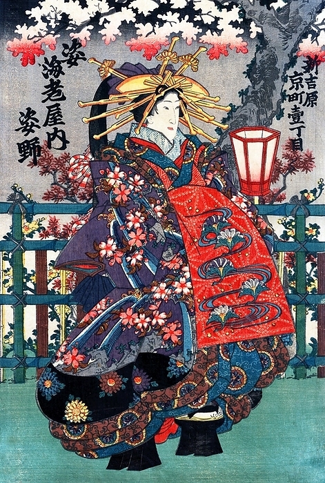 Japan: Ukiyo e triptych showing three courtesans  shin yoshiwara . Centre section: Sugatano from Ebiya house on Kyo Street The oiran were considered a type of y jo  prostitute   woman of pleasure  or prostitute. However, they were distinguished from the y jo in that they were entertainers, and many became celebrities of their times outside the pleasure districts. Their art and fashions often set trends among the wealthy and, because of this, cultural aspects of oiran traditions continue to be preserved to this day. br   br  They were distinguished from the y jo  woman of pleasure  or prostitute.  The oiran arose in the Edo period  1600 1868 . At this time, laws were passed restricting brothels to walled districts set some distance from the city center. In the major cities these were the Shimabara in Kyoto, the Shinmachi in Osaka, and the Yoshiwara in Edo  present day Tokyo .  br   br   br  These are the major cities.  These rapidly grew into large, self contained  pleasure quarters  offering all manner of entertainments. Within, a courtesan s birth held no distinction, which was fortunate considering many of the courtesans originated as the daughters of impoverished families who were sold into this lifestyle as indentured servants.   Among the oiran, the tay   tayu  was considered the highest rank of courtesan and were considered suitable for the daimyo or feudal lords. In the mid 1700s courtesan rankings began to disappear and courtesans of all classes were collectively known simply as  oiran .  br   br    The word oiran comes from the Japanese phrase oira no tokoro no n san            which translates as  my elder sister . When written in Japanese, it consists of two kanji, flower meaning  flower , and   sansmeaning  leader  or  first , hence  Leading Flower  or  First Flower .