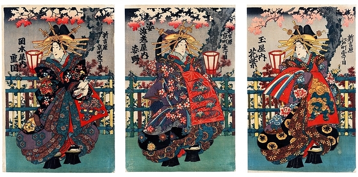 Japan: Ukiyo e triptych showing three courtesans  shin yoshiwara . Left section: Hanamurasak from Tamaya house on Edo Street. Center section: Sugatano from Ebiya house on Kyo Street. Right section: Shigeoka from Okamotoya house on Kyo Street The oiran were considered a type of y jo  prostitute   woman of pleasure  or prostitute. However, they were distinguished from the y jo in that they were entertainers, and many became celebrities of their times outside the pleasure districts. Their art and fashions often set trends among the wealthy and, because of this, cultural aspects of oiran traditions continue to be preserved to this day. br   br  They were distinguished from the y jo  woman of pleasure  or prostitute.  The oiran arose in the Edo period  1600 1868 . At this time, laws were passed restricting brothels to walled districts set some distance from the city center. In the major cities these were the Shimabara in Kyoto, the Shinmachi in Osaka, and the Yoshiwara in Edo  present day Tokyo .  br   br   br  These are the major cities.  These rapidly grew into large, self contained  pleasure quarters  offering all manner of entertainments. Within, a courtesan s birth held no distinction, which was fortunate considering many of the courtesans originated as the daughters of impoverished families who were sold into this lifestyle as indentured servants.   Among the oiran, the tay   tayu  was considered the highest rank of courtesan and were considered suitable for the daimyo or feudal lords. In the mid 1700s courtesan rankings began to disappear and courtesans of all classes were collectively known simply as  oiran .  br   br    The word oiran comes from the Japanese phrase oira no tokoro no n san            which translates as  my elder sister . When written in Japanese, it consists of two kanji, flower meaning  flower , and   sansmeaning  leader  or  first , hence  Leading Flower  or  First Flower .
