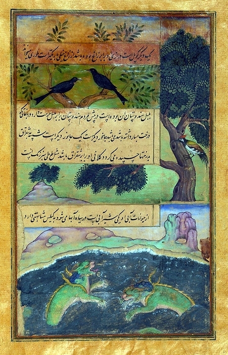 India: An illustration from the Baburnama. Animals of Hindustan   wild birds and dragon like water creatures B burn ma  Chagatai Persian:            , literally:  Book of Babur  or  Letters of Babur   alternatively known as Tuzk e Babri  is the name given to the memoirs of the name given to the memoirs of  ah r ud D n Mu ammad B bur  1483 1530 , founder of the Mughal Empire and a great great grandson of Timur. autobiographical work, originally written in the Chagatai language, known to Babur as  Turki   meaning Turkic , the spoken language of the Andijan Timurids. br   br   br  The Chagatai language is a great great great great great grandson of Timur.  Because of Babur s cultural origin, his prose is highly Persianized in its sentence structure, morphology, and vocabulary, and also contains many During Emperor Akbar s reign, the work was completely translated to Persian by a Mughal courtier, Abdul Rah m, in AH 998  1589 90 CE .
