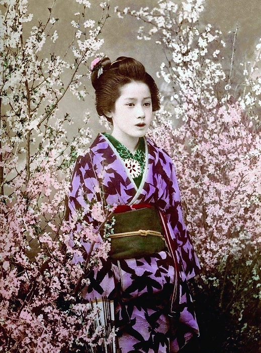 Japan: A young woman in a kimono posing amid blossoms, T. Enami, c. 1905 T. Enami  Enami Nobukuni, 1859   1929  was the trade name of a celebrated Meiji period photographer. The T. of his trade name is thought to have stood for Toshi, though he never spelled it out on any personal or business document. br   br   br  The T. of his trade name is thought to have  Born in Edo  now Tokyo  during the Bakumatsu era, Enami was first a student of, and then an assistant to the well known photographer and collotypist, Ogawa Kazumasa. Enami relocated to Yokohama, and opened a studio on Benten d ri  Benten Street  in 1892. Just a few doors away from him was the studio of the He and Enami would work together on at least three related projects over the years.  Enami became quietly unique as the only photographer of that period known to work in all popular formats, including the production of large format Enami became quietly unique as the only photographer of that period known to work in all popular formats, including the production of large format photographs compiled into what are commonly called  Yokohama Albums. Enami went on to become Japan s most prolific photographer of small format images such as the stereoview and glass lantern slides. The best of these were delicately hand tinted.