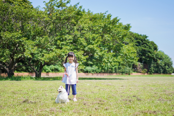 Little girl walking the dog