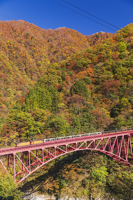 Toyama Prefecture Kurobe Gorge Railway and Autumn Foliage