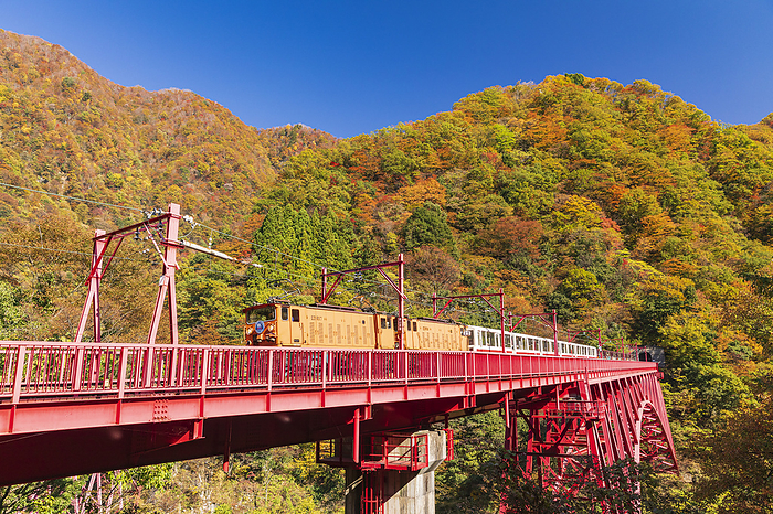 Toyama Prefecture Kurobe Gorge Railway and Autumn Foliage
