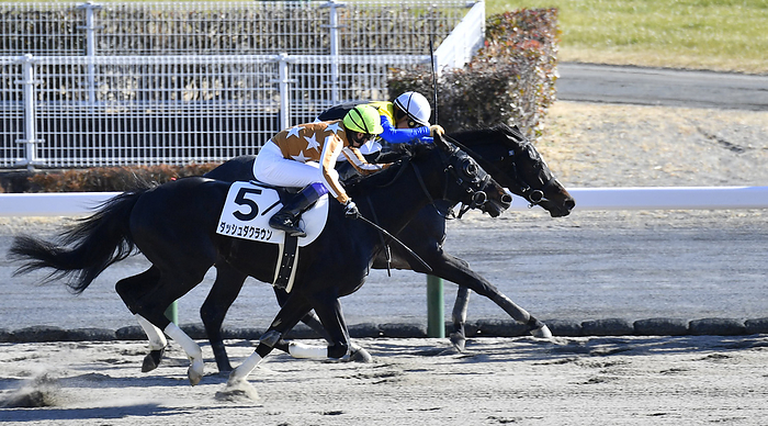 Jockey Masamasa Kawada reaches 1,700 JRA wins January 22, 2022 Horse Racing 8R 1 Forte dei Marmi  back , Kawada achieved his 1,700th win in total. Jockey: Masamasa Location: Chukyo Racecourse