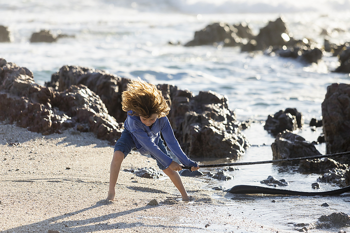 De Kelders,South Africa,Boy playing on a rocky beach, holding a long kelp seaweed strand Boy playing on a rocky beach, holding a long kelp seaweed strand , De Kelders, Western Cape, South Africa