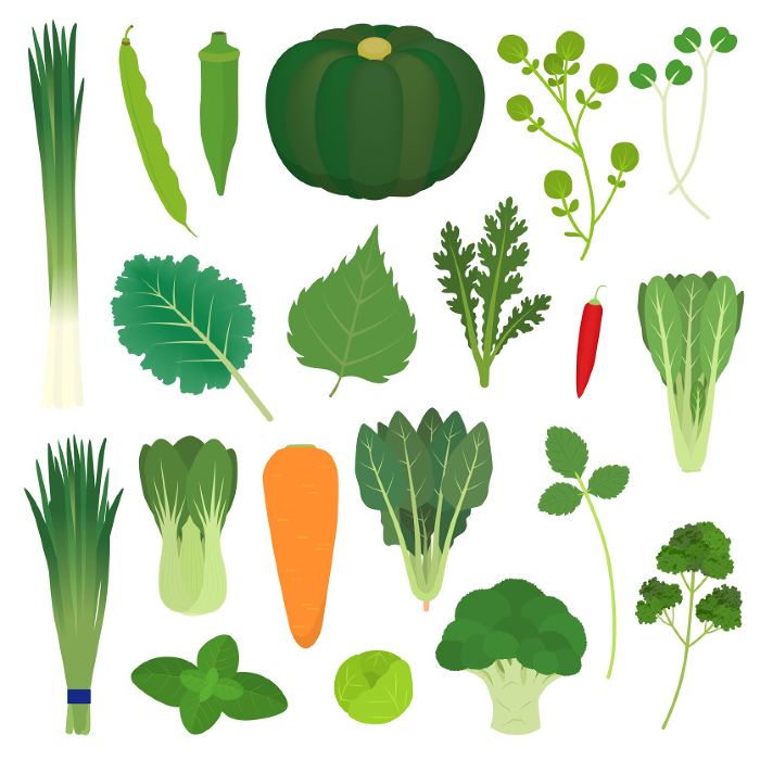 Clip art of green and yellow vegetables