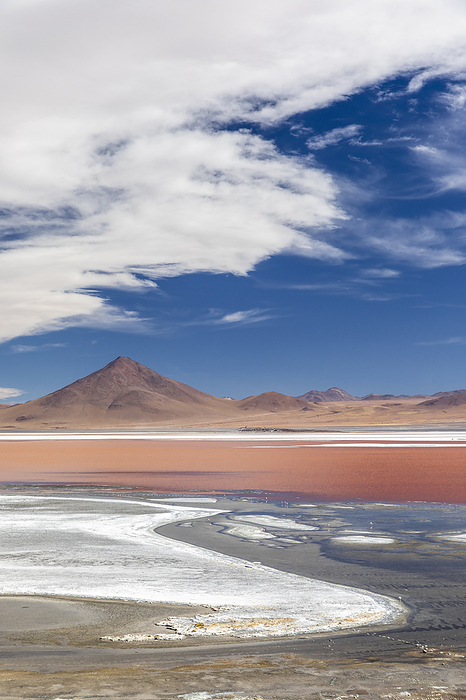 An endorheic salt lake in the altiplano, Eduardo Avaroa Andean Fauna National Reserve, Bolivia. An endorheic salt lake in the altiplano, Eduardo Avaroa Andean Fauna National Reserve, Bolivia, South America, Photo by Michael Nolan