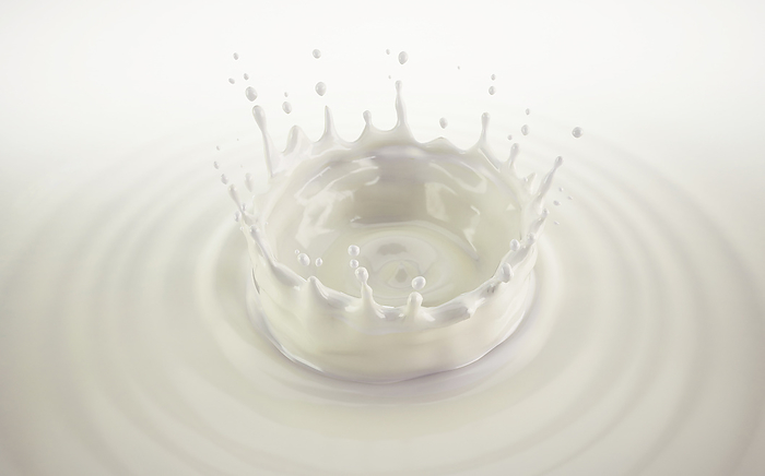 Milk crown splash with ripples, illustration Milk crown splash, illustration. Splash in milk pool with ripples. Bird s eye view., by LEONELLO CALVETTI SCIENCE PHOTO LIBRARY
