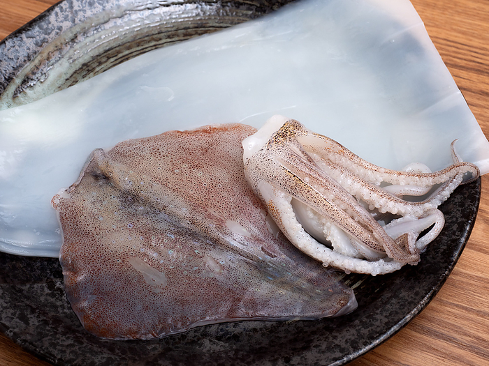 Japanese spear squid (Todarodes pacificus) for sashimi
