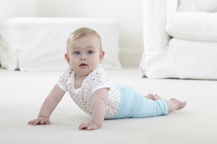 Baby girl crawling on carpet Baby girl  9 months  crawling on carpet, side view., Photo by DK IMAGES SCIENCE PHOTO LIBRARY