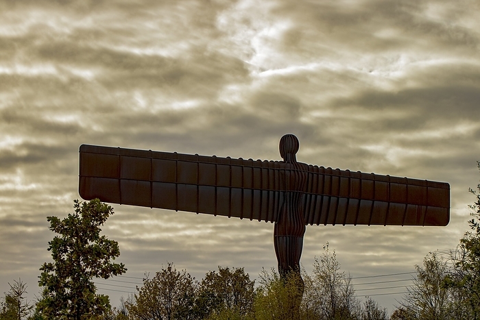 Angel of the North sculpture Angel of the North sculpture. This sculpture of an angel is situated on reclaimed land in Gateshead, England, and is the largest sculpture in Great Britain. It was designed by sculptor Antony Gormley to welcome visitors arriving to the area by road and rail. It was constructed in 1995 from copper containing weather resistant steel, the surface of which oxidises to form an orange colour. It is 20 metres high, with a wingspan of 54 metres., Photo by IAN GOWLAND SCIENCE PHOTO LIBRARY
