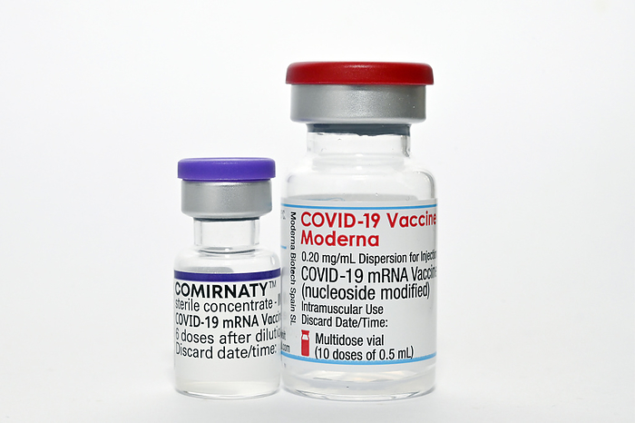 Covid 19 vaccines Phials of the Pfizer BioNTech BNT162b2  marketed as Comirnaty, left  and Moderna  right  vaccines against SARS CoV 2, the cause of Covid 19. The Pfizer BioNTech and Moderna vaccines consists of strands of mRNA  messenger ribonucleic acid  that code for the SARS CoV 2 spike protein, encased in lipid nanoparticles. Both vaccines when injected and taken up by the body s cells, instruct them to make copies of the spike protein, which stimulates an immune response, causing the body to produce antibodies against the spike protein. This means that the body is primed to attack the virus should it be encountered after vaccination, preventing disease., Photo by DR P. MARAZZI SCIENCE PHOTO LIBRARY