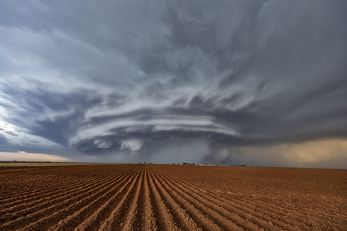 Supercell thunderstorm, Texas, USA Supercell thunderstorm over freshly planted cotton fields near Anton, Texas, USA. A supercell thunderstorm is a severe long lived storm within which the wind speed and direction changes with height. This produces a strong rotating updraft of warm air, known as a mesocyclone, and a separate downdraft of cold air. Tornadoes may form in the mesocyclone, in which case the storm is classified as a tornadic supercell thunderstorm. The storms also produce torrential rain and hail. Photographed on 11th May 2020., Photo by ROGER HILL SCIENCE PHOTO LIBRARY
