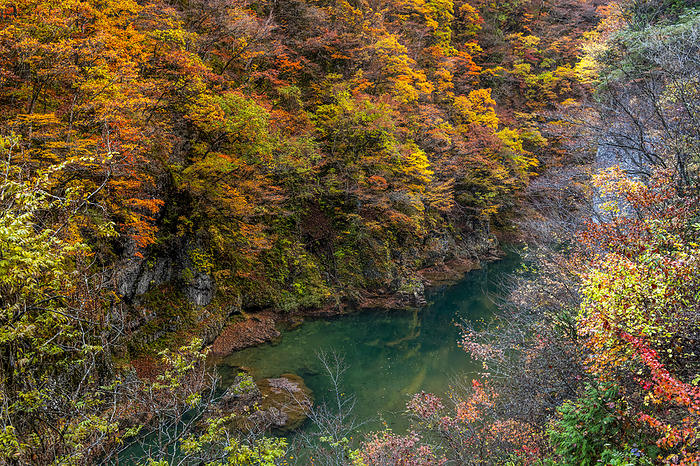 Akita Prefecture Autumn Hogaraki Canyon