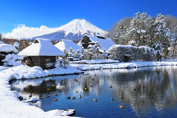 Snowy landscape of Oshinohakkai, Mt. Fuji and Koi Pond, Yamanashi, Japan