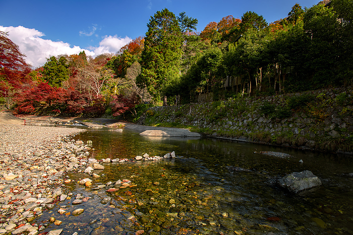 Kyoto Yase, Kyoto Deep red leaves of Koya River