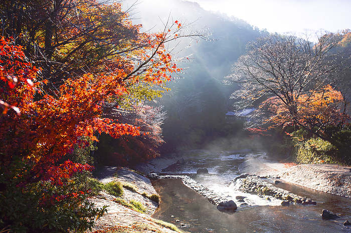 Kyoto Yase Autumn leaves and river mist on the Takano River Keraoshi