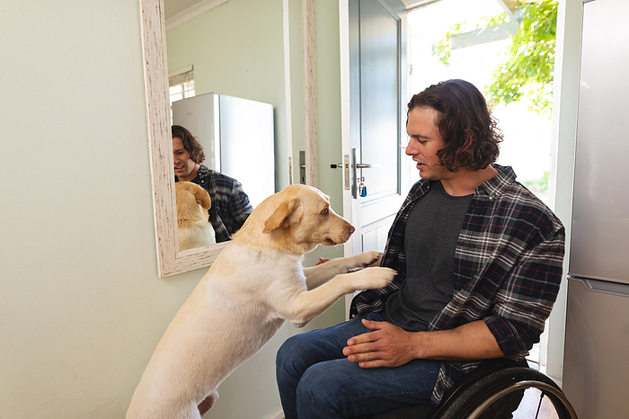 Caucasian disabled man sitting on wheelchair playing with his dog at home. disability and handicap concept