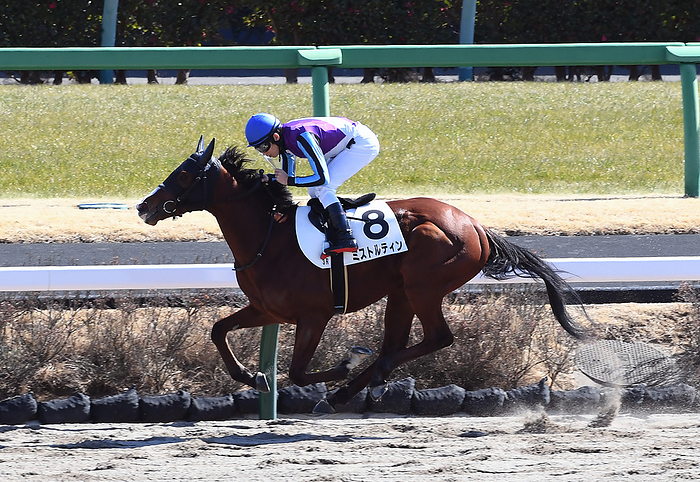 2022 3 years old, uncontested February 26, 2022 Horse Racing Race 3R, 3 year old uncontested, 1st place, No. 8 Mistretin  Hironobu Tanabe, jockey , Nakayama Racecourse, Nakayama, Japan