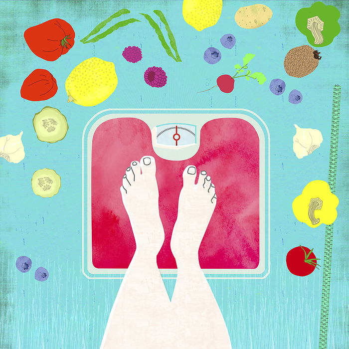 Feet on scales with a healthy diet, illustration Feet on scales with a healthy diet, illustration., Photo by SIMONE GOLOB   SCIENCE PHOTO LIBRARY