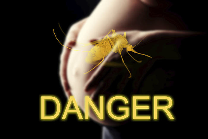 Danger of Zika virus in pregnancy, conceptual image Danger of Zika virus in pregnancy, conceptual image., Photo by DIGICOMPHOTO SCIENCE PHOTO LIBRARY