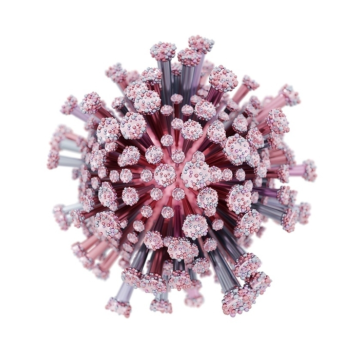Coronavirus, conceptual illustration Coronavirus, conceptual illustration., Photo by TUMEGGY SCIENCE PHOTO LIBRARY