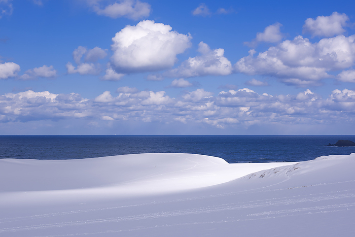 Tottori Sand Dunes Snowy Landscape Tottori City, Tottori Pref. White Tottori Sand Dunes