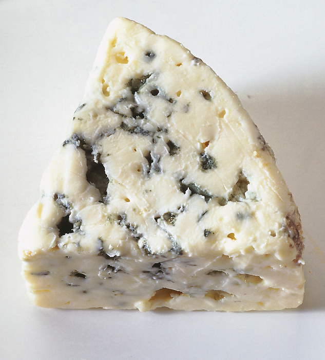Roquefort cheese Triangular wedge or slice of roquefort cheese., Photo by DK IMAGES SCIENCE PHOTO LIBRARY