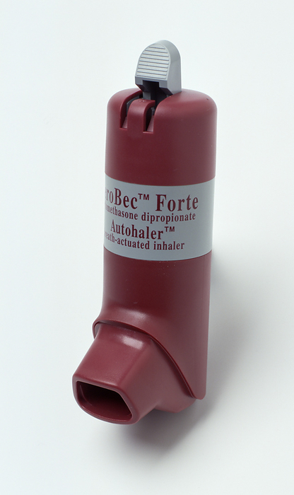 Corticosteroid inhaler Corticosteroid inhaler., Photo by DK IMAGES SCIENCE PHOTO LIBRARY