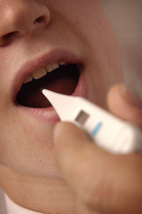Taking a patient s temperature Clinician taking a patient s oral temperature with a digital thermometer., Photo by MEDICIMAGE   SCIENCE PHOTO LIBRARY