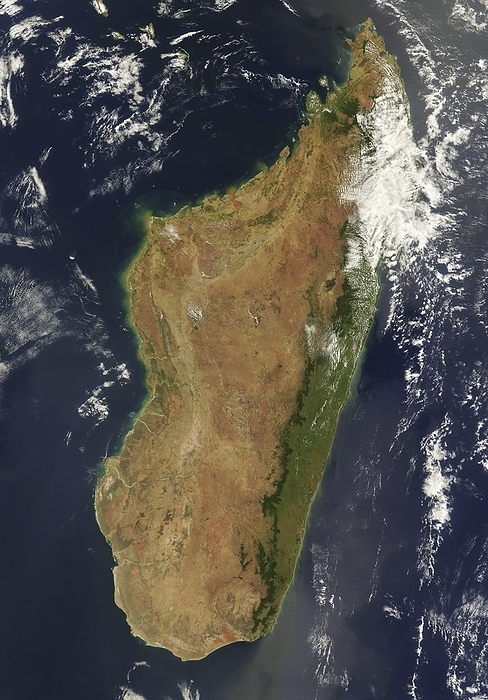 Madagascar, satellite image Satellite image of Madagascar, an island in the Indian Ocean  located 400 kilometres off the east coast of Africa. Small red dots on the image are used to show active fires: controlled burns used to clear farmland. Madagascar s east coast is lined with rainforest. whilst the west coast has many boabab trees and thorny forest. Image obtained by Moderate Resolution Imaging Spectroradiometer  MODIS  on NASA   Terra satellite on 10th September 2020., Photo by Jacques Descloitres, MODIS Rapid Response Team, NASA GSFC SCIENCE PHOTO LIBRARY