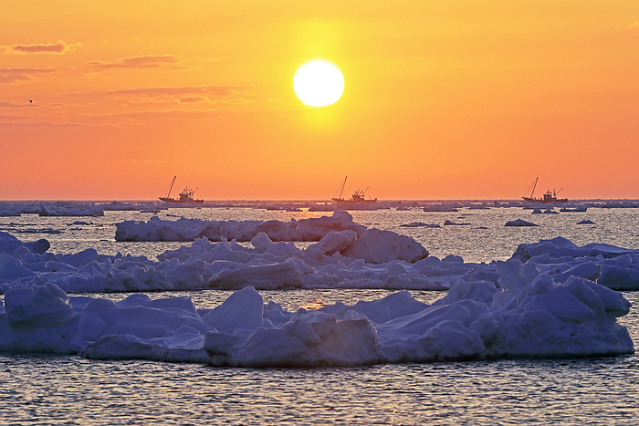 Drift ice, sunrise and scallop fishing boat from Notsuke Peninsula, Hokkaido
