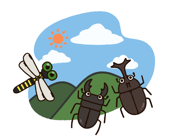 Mountain scenery and summer insects