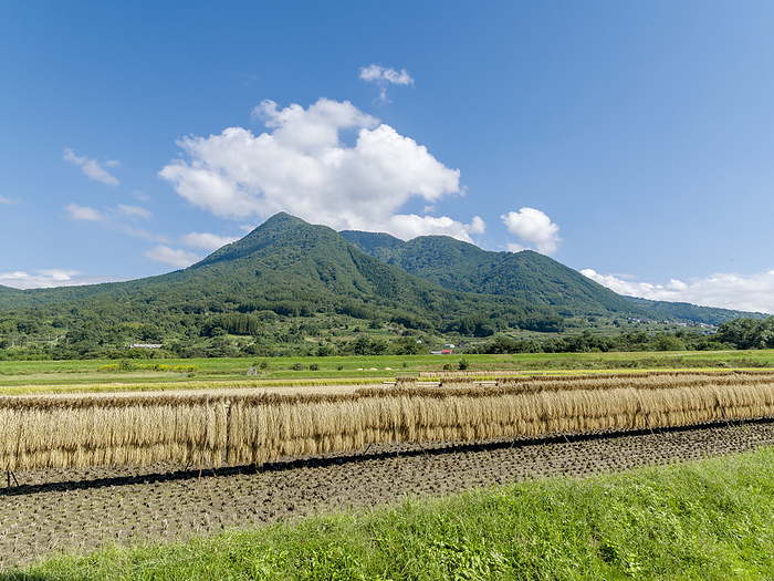 Mt. Koshazan and Inada Iiyama City, Nagano Prefecture