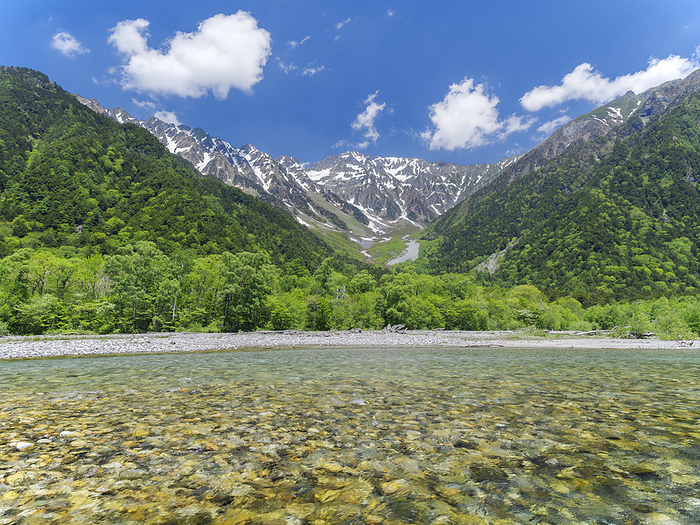 Azusa River and Hotaka mountain range in fresh green Kamikochi, Nagano