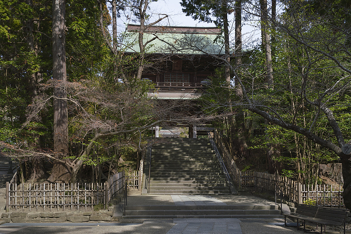 Enkakuji Temple Gate Kamakura