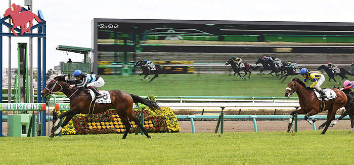 2022 3 years old, uncontested April 2, 2022 Horse Racing Race 5R, 3 year old uncontested, 1st place, No. 8 Vibrazione  Takeshi Yokoyama, jockey , Nakayama Racecourse