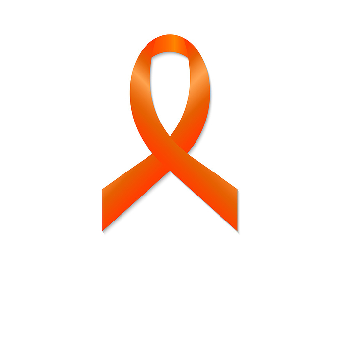 Multiple sclerosis ribbon, conceptual illustration Multiple sclerosis awareness ribbon, conceptual illustration., by ART4STOCK SCIENCE PHOTO LIBRARY