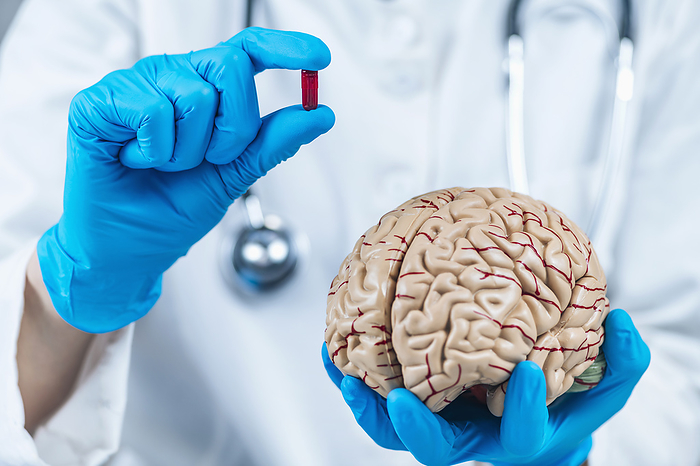 Female doctor holding model of brain and placebo pill Female doctor holding model of brain and placebo pill., by MICROGEN IMAGES SCIENCE PHOTO LIBRARY