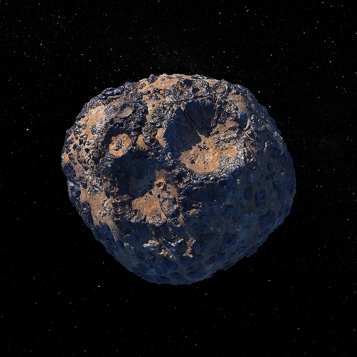 Psyche asteroid, illustration Psyche asteroid, illustration. This metal rich asteroid, which measures 26 kilometres wide, is located in the main asteroid belt between Mars and Jupiter. It is the target of the Psyche mission which is planned to launch in August 2022. The asteroid is thought to be the nickel iron core of an early planet, or protoplanet, that lost its surface in series of violent collisions. This depiction shows large separate areas of metal and rock. Investigating the composition of the asteroid should give insight into the metallic cores of terrestrial planets such as Earth., by NASA JPL Caltech ASU SCIENCE PHOTO LIBRARY