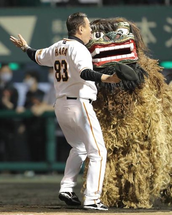 2022 Professional baseball Giants DeNA  Giants manager Tatsunori Hara is surprised to bump into a lion dance on his way back to the bench. Taken at Okinawa Cellular Stadium Naha on April 12, 2022.