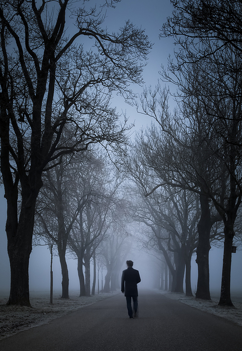 Lonely man walking on foggy avenue, Photo by Christina Falkenberg