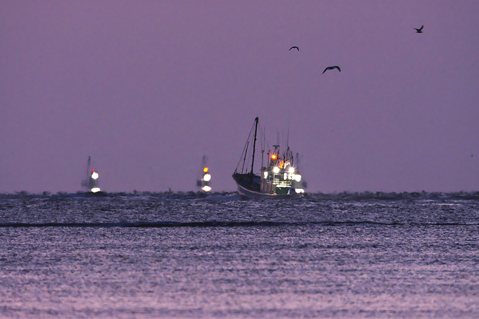 Morning scallop fishing boat Hokkaido  8 C