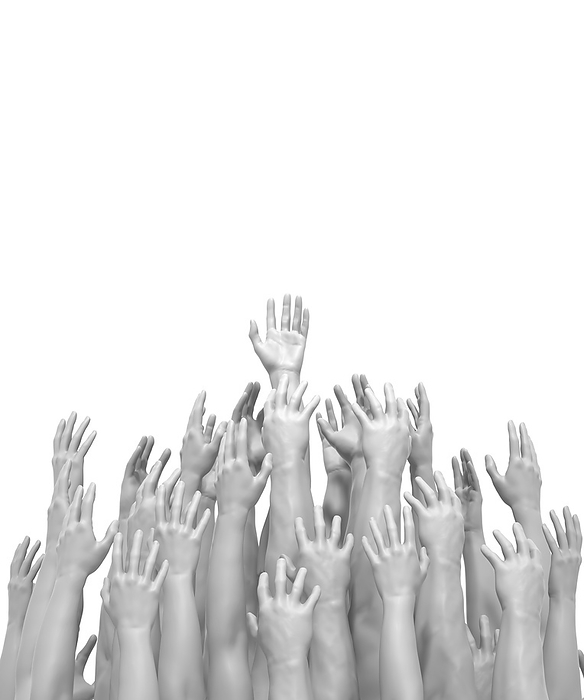Raised Hands conceptual illustration. Raised Hands conceptual illustration., by DAVID PARKER SCIENCE PHOTO LIBRARY